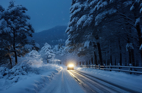 夜间树木环绕的雪路