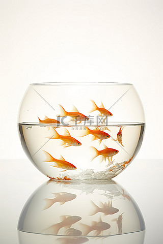 一个空碗，里面装满了金鱼在游来游去