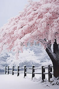 秋冬天背景图片_栅栏前雪中的一棵秋树