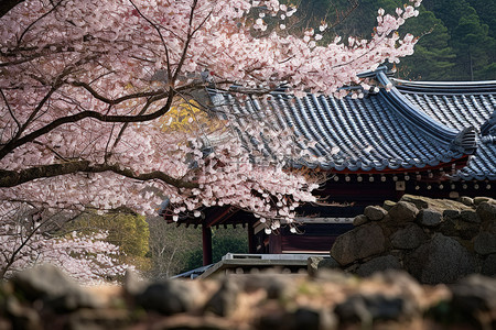 一棵开花的树下看到一座亚洲风格的建筑