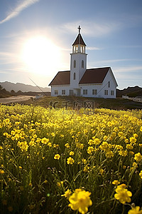 一座白色的小教堂，周围群山环绕，开着黄色的大花