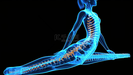 3D 渲染中女性医学人物的瑜伽姿势，强调脊柱