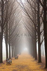 秋天的季节，有树林和长凳 leoneskylin sohee 县 jugoosa