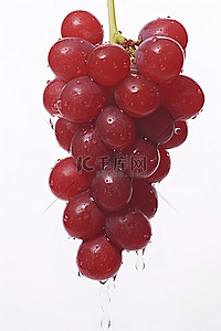 无核白葡萄背景图片_白色背景上的红红葡萄