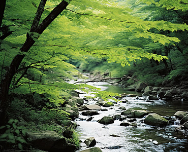 古诗瀑布背景图片_穿过绿色森林的小溪