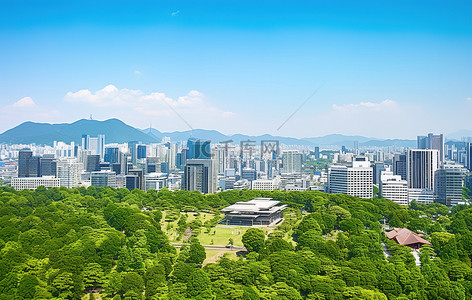 城市和背景图片_首尔城市相册鸟瞰城市和周围的树木