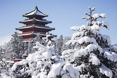 旅游小红书背景图片_雪山俯瞰红塔和松树