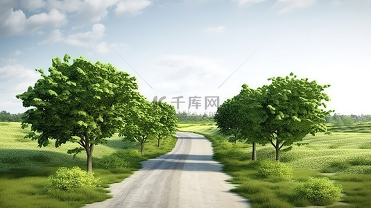 丝绸之路视频背景图片_夏日风景乡村小路两旁绿树成荫