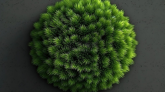 3D 渲染中草丛的鸟瞰图