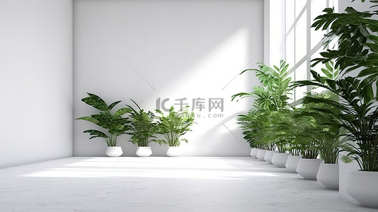 简约的房间，地板上有盆栽植物，3D 渲染