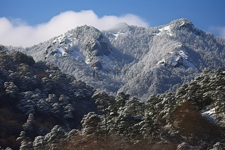 白雪皑皑的山峰覆盖着树木和雪