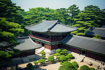 阳光下的韩国宫殿