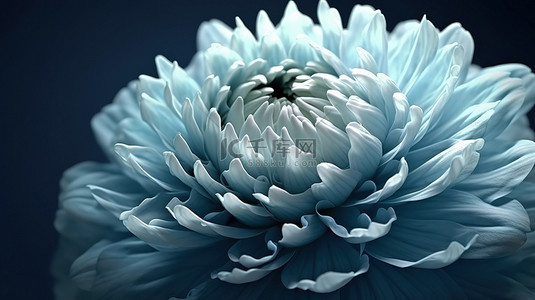 美丽的牡丹花背景图片_精致盛开的蓝色牡丹或菊花的特写 3D 渲染