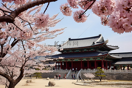 传统的宫殿与美丽的樱花相伴