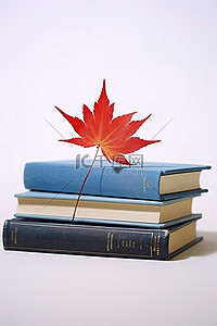 一摞摞书背景图片_一摞书，上面有一片红叶