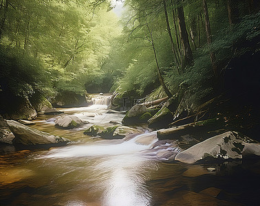 一条又长又宽的河流流经森林