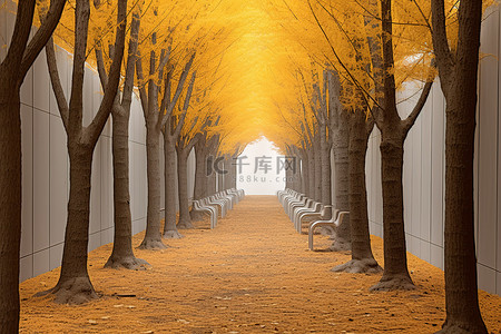 川背景背景图片_走廊里的黄色树木排成一排