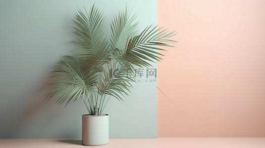 棕榈背景背景图片_简约的 3D 场景隔离槟榔棕榈室内植物渲染在柔和的背景上