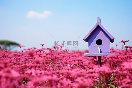 一个红色的小鸟舍坐落在紫色花坛的地上