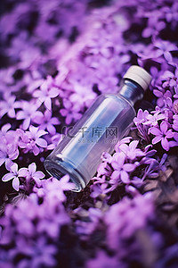 一个空瓶子放在紫色的花上