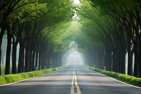 春天旅游背景背景图片_通向一条有成排树木的大路的路