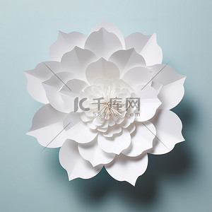 白色花朵纸雕