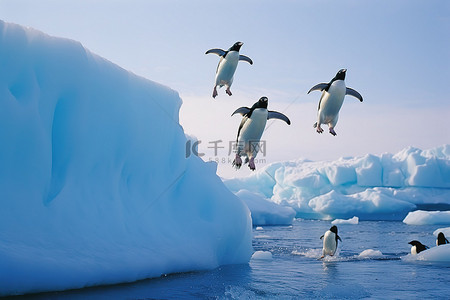 企鹅从冰川中跳出来