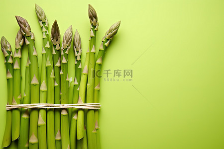 绿色蔬菜背景图片_绿色背景上的芦笋