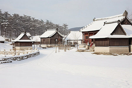 冬天的小场景，房屋被雪包围