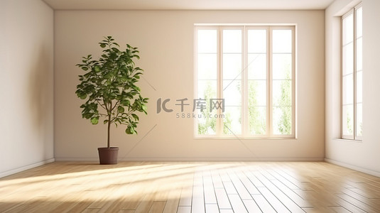 地板自然背景图片_白墙空房间，配有自然阳光木地板和叶影 3D 渲染模型