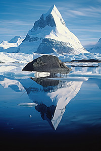 落背景图片_冰在水中的反射，有一座山和一座大岛