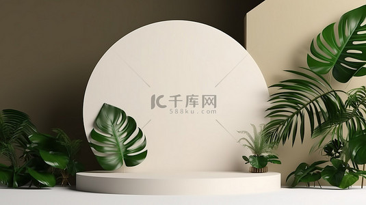 夏天绿叶植物背景图片_热带叶装饰产品演示平台模型的 3D 渲染