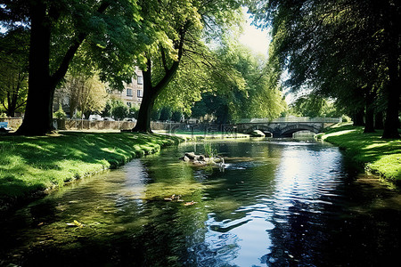 绿地背景图片_公园里靠近一条小溪有一片绿地
