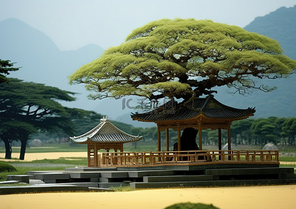 韩国宝塔后面山顶上一棵摇曳的树