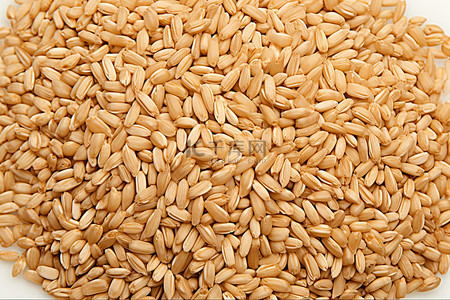 亚马逊主图背景图片_谷物 亚马逊 com 食用品 糙米