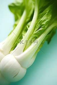 白菜好物背景图片_炒面叶和茎
