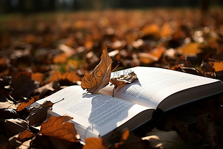 一本打开的书躺在一堆树叶中