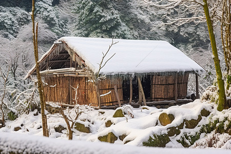 冬天竹子背景图片_小屋被雪覆盖