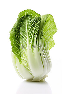 白菜好物背景图片_白色背景上的一片卷心菜叶