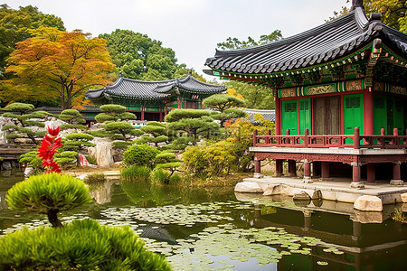 池塘背景图片_韩国的绿色池塘和色彩缤纷的建筑