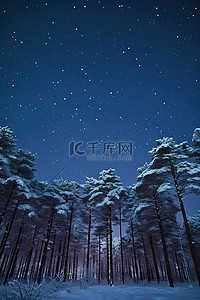 雪星空下的松林