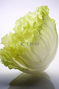 白菜好物背景图片_白色表面上的一片生菜