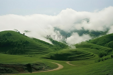 天云山背景图片_一座绿色的大山，天空中有草，有云