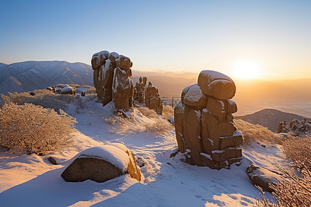 太阳从有雪和树木的山上升起