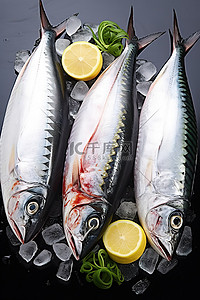 鱼背景图片_虎鲭鱼金枪鱼鲑鱼沙丁鱼鳟鱼