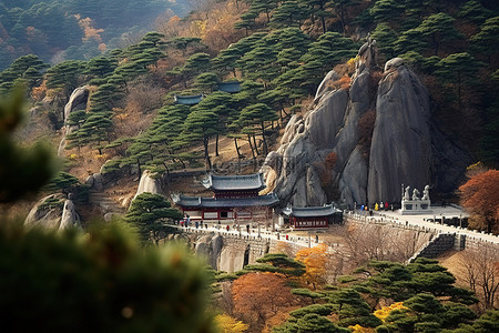 膳食宝塔背景图片_济州岛的韩国寺庙
