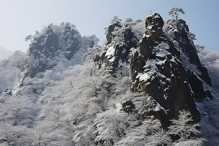 雪山岩石背景图片_积雪覆盖的岩石树和雪