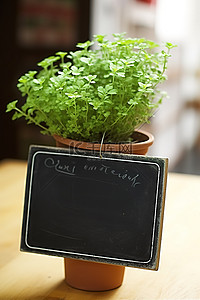 植物标志背景图片_显示带有黑板标志的植物的图片