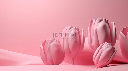 情人节场景背景图片_简单的 3d 郁金香花，带有春季美学别致的粉红色抽象场景，非常适合情人节或国际妇女节卡片模板