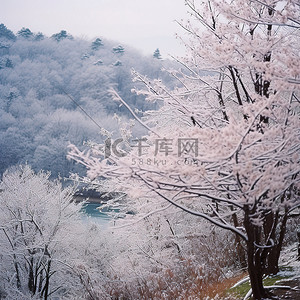 和牛雪花牛里脊背景图片_从山上看到雪景